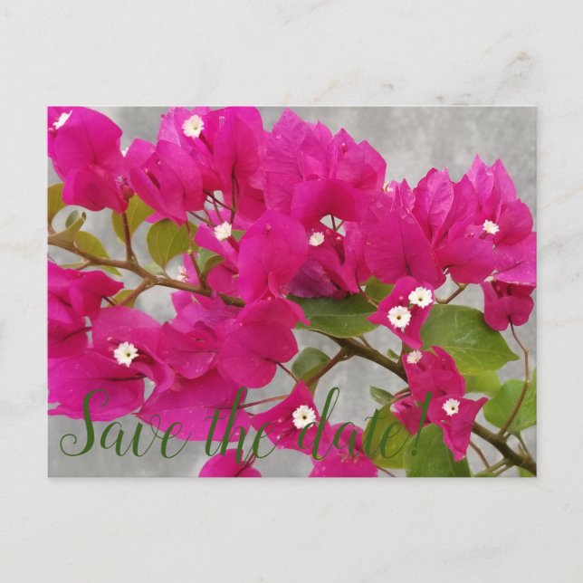 Datum freihalten! postkarte (Vorderseite)