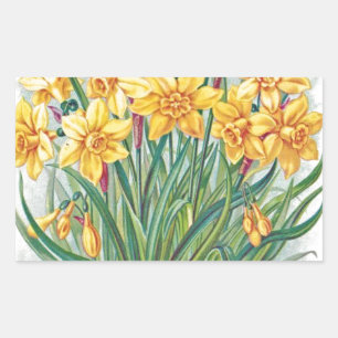 Datum RSVP Blumen Osterglocke gelb vintage Rechteckiger Aufkleber