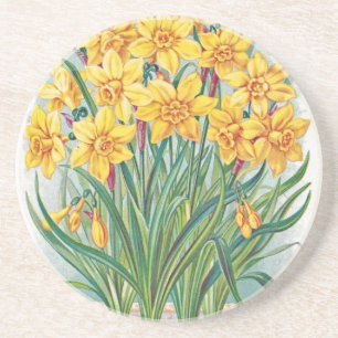 Datum RSVP Blumen Osterglocke Gelb Vintage Sandstein Untersetzer