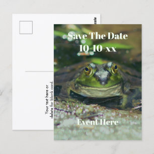 Datum Speichern Süßer Frosch Natur  Postkarte