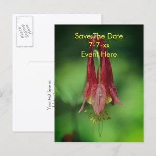 Datum speichern Wilde Akelei-Blume Ankündigungspostkarte