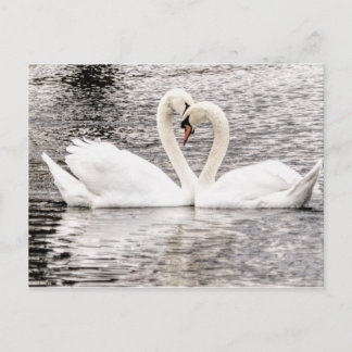 Dauerhafte Liebe Postkarte