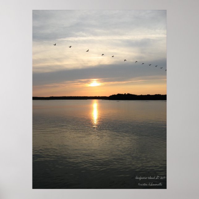 Daufuskie Bound Poster (Vorne)