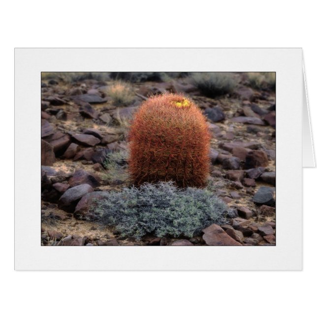 "Daumen hoch" (Vorderseite (Horizontal))