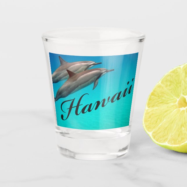 Dauphin d'Hawaii Verre de tir (Devant)