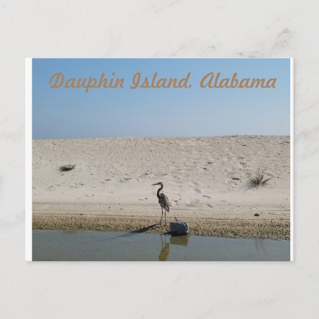 Dauphin Island, Alabama mit Blue Heron Postcard Postkarte (Vorderseite)