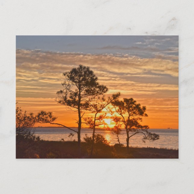Dauphin Island Refugium Sunrise, Alabama Postkarte (Vorderseite)