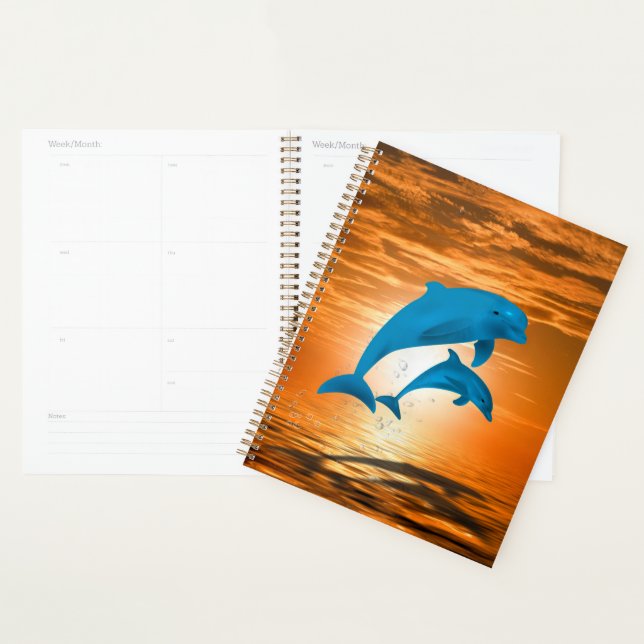 Dauphins (Devant avec enveloppe)