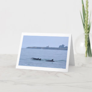 Dauphins à la carte de voeux Phare-Vide