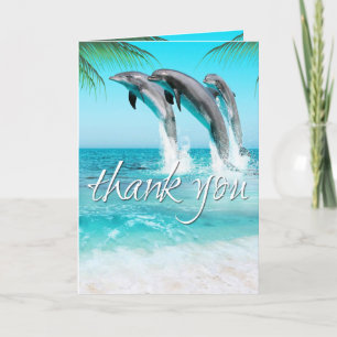 DAUPHINS JOUEURS OCÉAN TROPICAL Merci