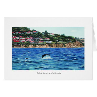 Dauphins Près De Palos Verdes
