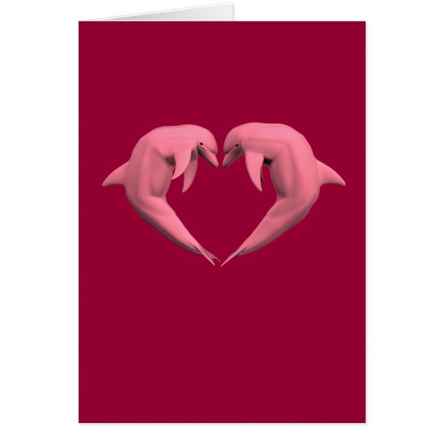 Dauphins roses (Devant)