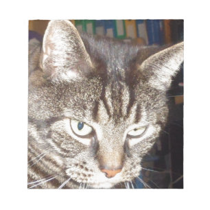 Dave beobachtet dich notizblock