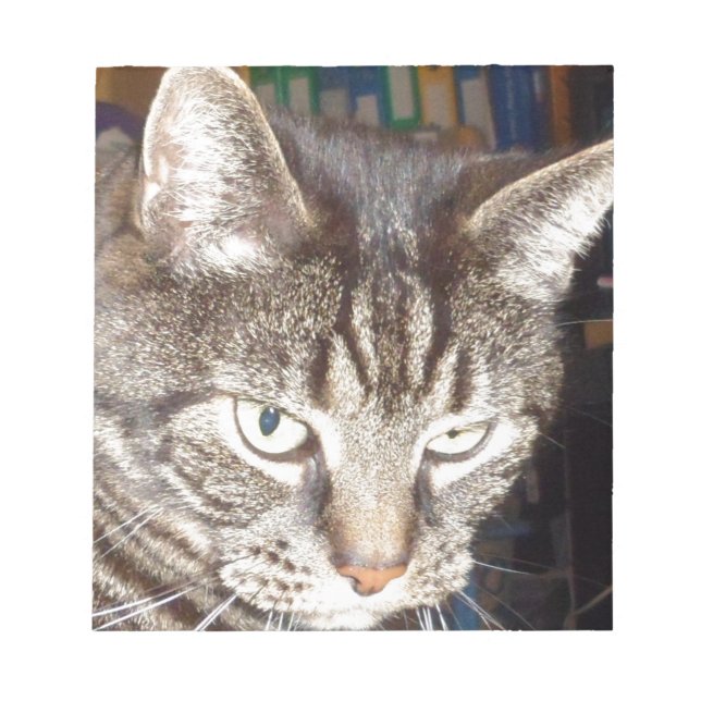 Dave beobachtet dich notizblock (Vorderseite)