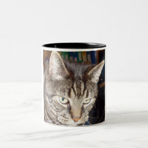 Dave sieht dir zwei-Tone-Tasse zu Zweifarbige Tasse