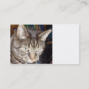 Dave vous regarde Cartes de visite