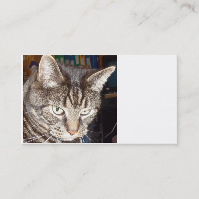 Dave vous regarde Cartes de visite (Devant)