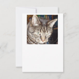 Dave vous regarde Invitations