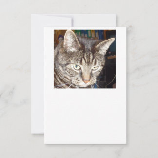 Dave vous regarde Invitations
