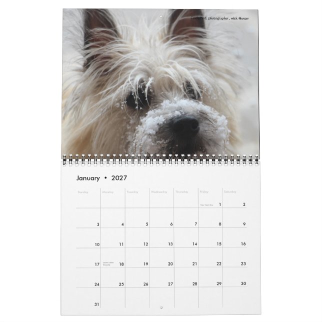 Daves Kalender Garten-2016 (Jan 2027)