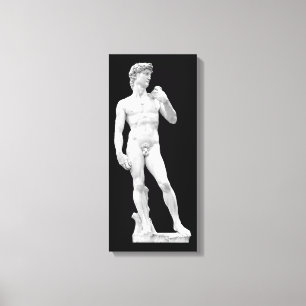 David durch Michelangelo wickelte Leinwand ein