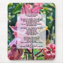 David Psalm 23 biblical quote