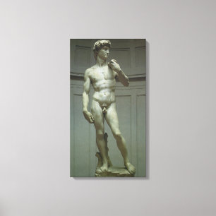 David-Statue von Michelangelo Leinwanddruck
