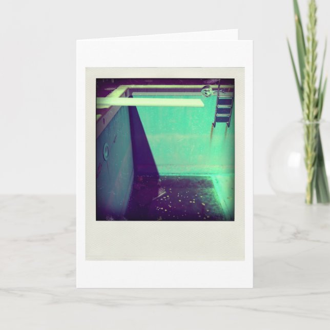 David's Pool 09g05 variation2 3d Carte d'art infor (Devant)