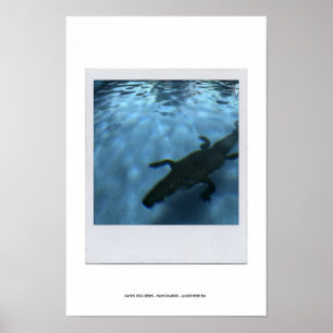 DAVID'S POOL SERIES p05b Poster