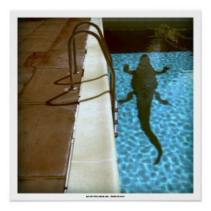 DAVID'S POOL SERIES p08b- 3D Computer ART Poster