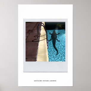 DAVID'S POOL SERIES p08b Poster