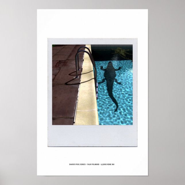 DAVID'S POOL SERIES p08b Poster (Vorne)