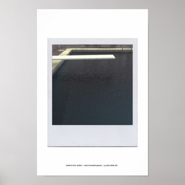 DAVID'S POOL SERIES p09e05 Poster (Vorne)