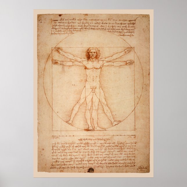 DaVinci Vitruvian Man Poster (Vorne)