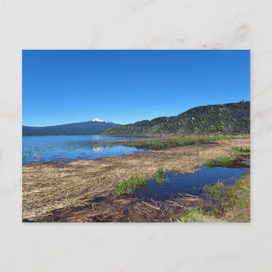 Davis Lake, OR Postkarte