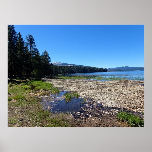 Davis Lake, Oregon Poster (Vorne)