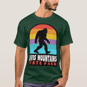Davis Mountains Staat Park Texas T-Shirt