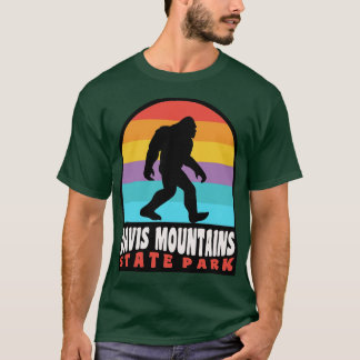 Davis Mountains Staat Park Texas T-Shirt