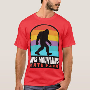 Davis Mountains Staat Park Texas T-Shirt