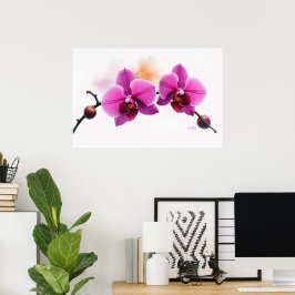 Dawn Bloom Orchide Poster