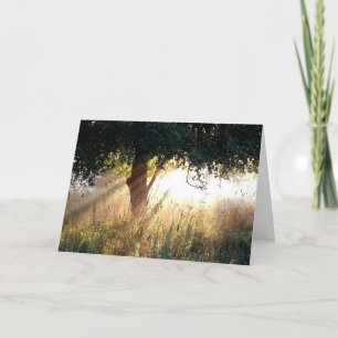 Dawn Deepest Sympathy Card Karte