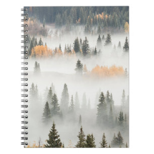 Dawn Ground Fog deckt Bergwald ab Notizblock