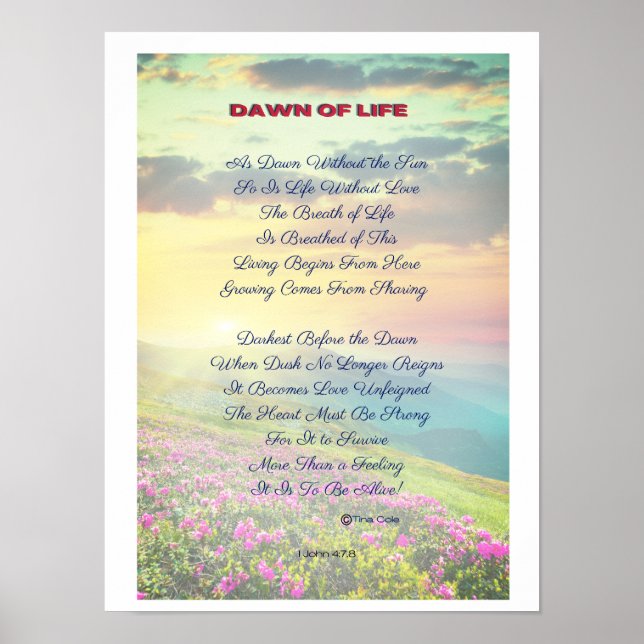 "Dawn of Life" Poster (Vorne)