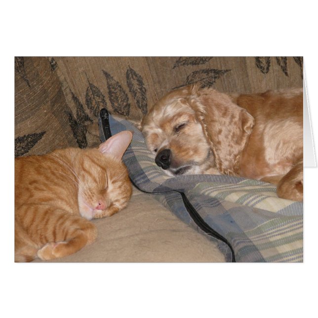 Dax und Chance Share (Vorderseite (Horizontal))