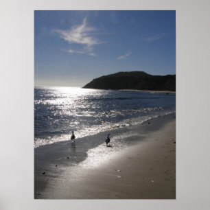 Day at the Beach Poster