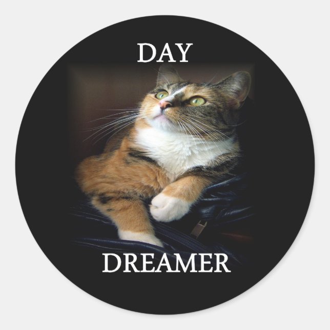 Day Dreamer Sticker (Vorderseite)