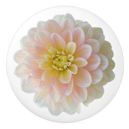 Day Dreamer Wasserlilie Dahlia Keramikknauf