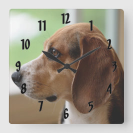 Day Dreaming Beagle Quadratische Wanduhr