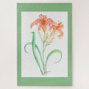 Day Lily