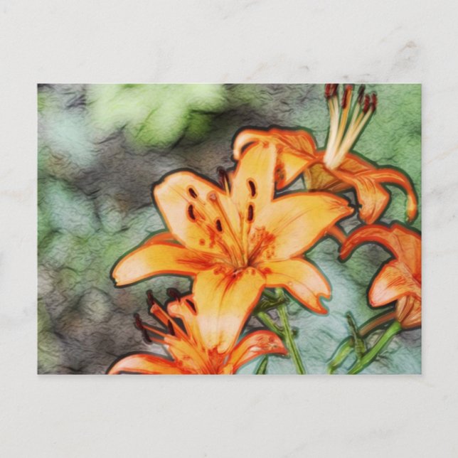 Day Lily Postkarte (Vorderseite)